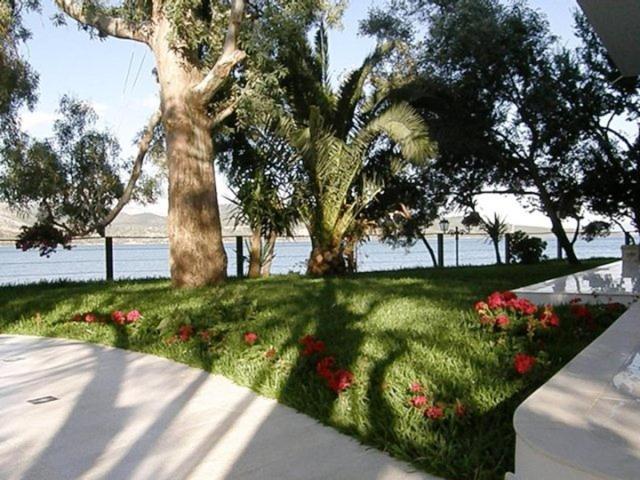 Tzeni Villa Lygia  Extérieur photo